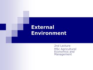 External Environment