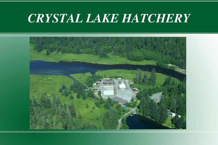 crystal lake hatchery