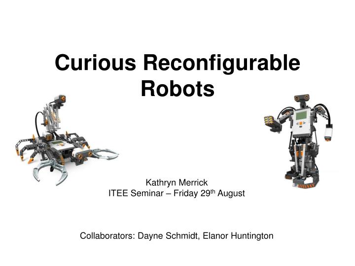 curious reconfigurable robots