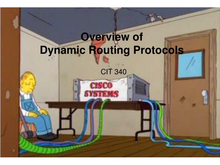 overview of dynamic routing protocols