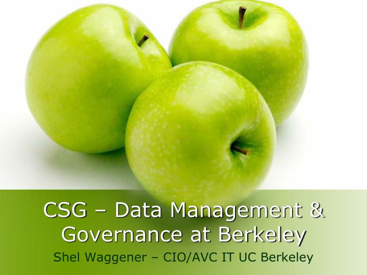 csg data management governance at berkeley