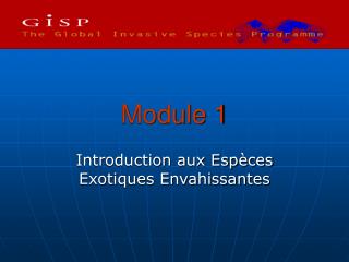 module 1