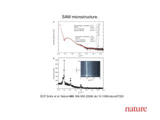 ECP Smits et al. Nature 455 , 95 6 -9 5 9 (2008) doi:10.1038/nature07 320