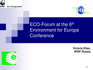 ECO-Forum at the 6 th Environment for Europe Conference