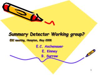 Summary Detector Working group? EIC meeting, Hampton, May 2008