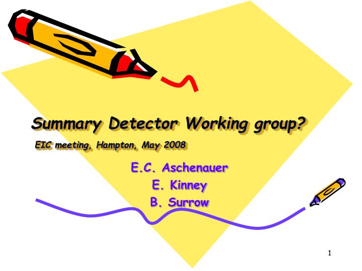 summary detector working group eic meeting hampton may 2008