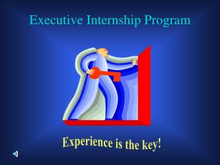 Executive Internship Program