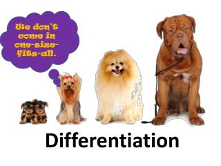 Differentiation