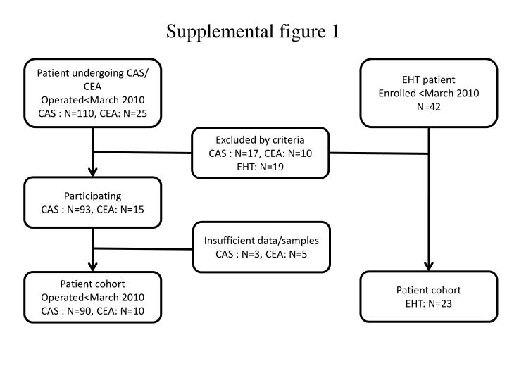 supplemental figure 1