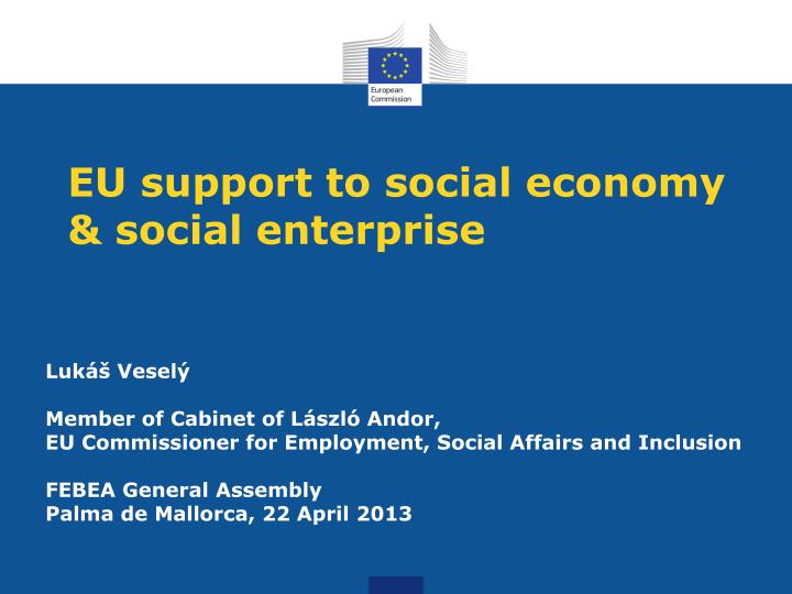 eu support to social economy social enterprise