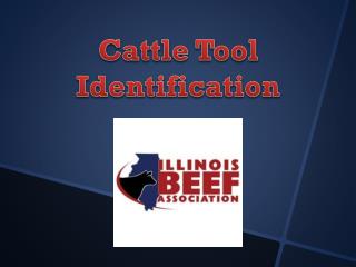 Cattle Tool Identification