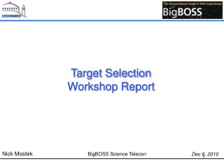 Target Selection Workshop Report