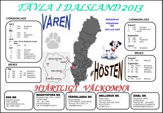 t vla i dalsland 2013