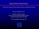 Good Stress-Bad Stress Brain-Body Interactions and the Effects on Neural and Behavioral Function - slide 1