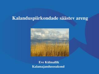 kalanduspiirkondade s stev areng