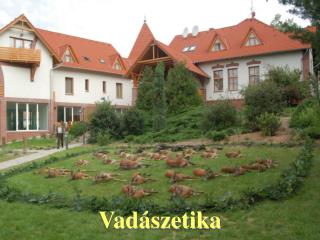 vad szetika