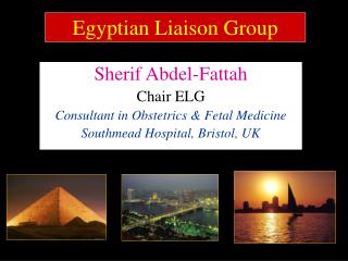 Sherif Abdel-Fattah Chair ELG Consultant in Obstetrics &amp; Fetal Medicine
