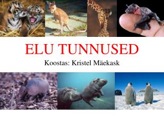 elu tunnused