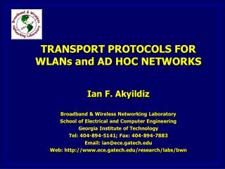 Overview of Transport Problems in WLANs