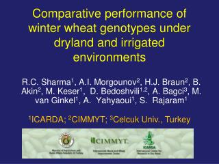 Comparative performance of winter wheat genotypes under dryland and irrigated environments