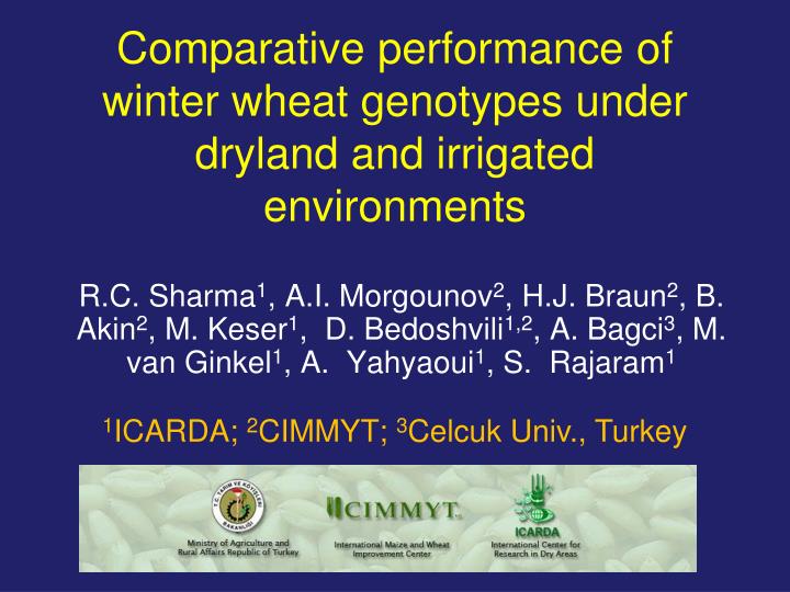 comparative performance of winter wheat genotypes under dryland and irrigated environments