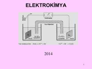 elektrok mya