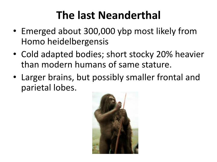 the last neanderthal