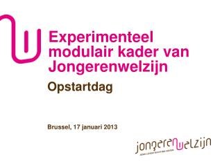 experimenteel modulair kader van jongerenwelzijn