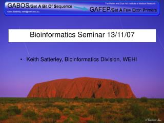 Bioinformatics Seminar 13/11/07
