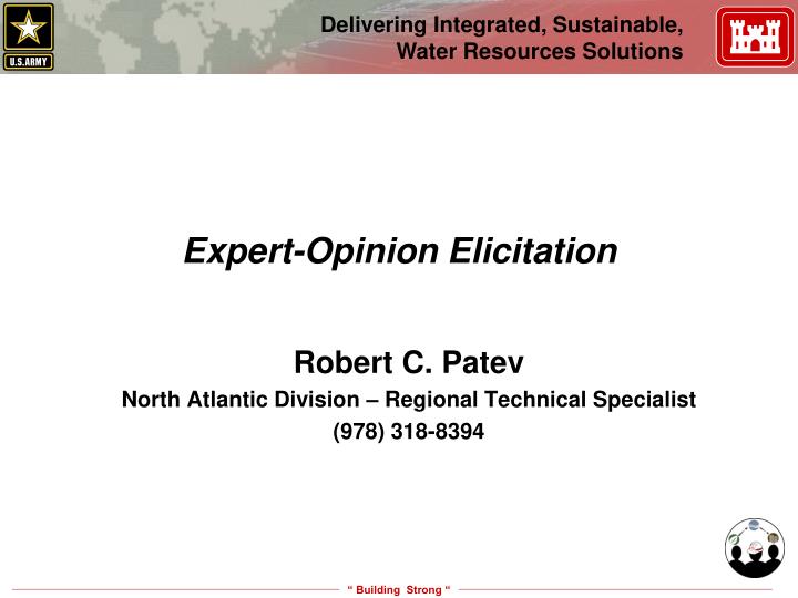 expert opinion elicitation