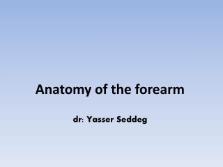 Anatomy of the forearm dr: Yasser Seddeg