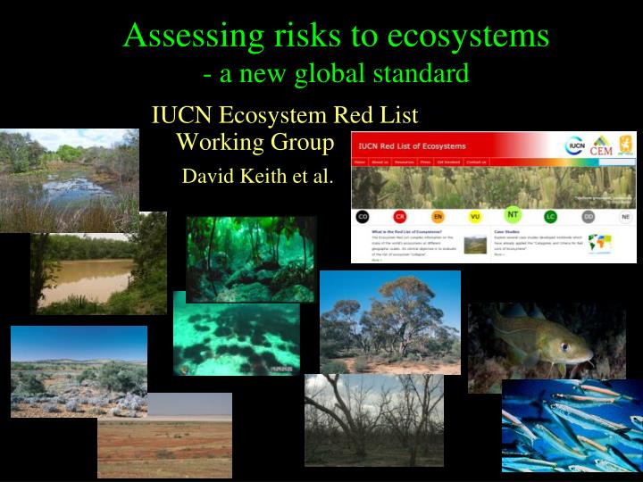 assessing risks to ecosystems a new global standard