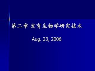 aug 23 2006