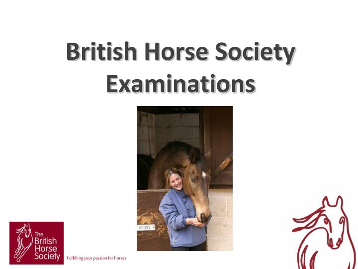 british horse society examinations