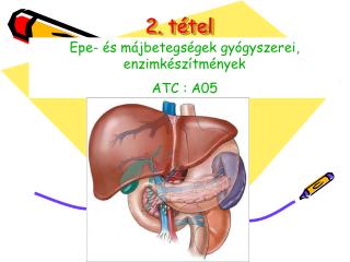 2 t tel