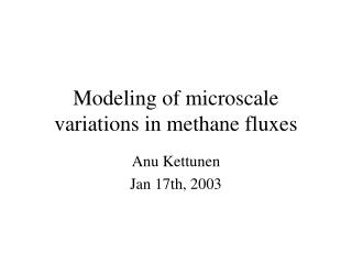 Modeling of microscale variations in methane fluxes