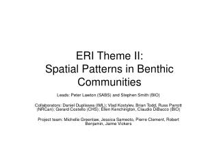 ERI Theme II: Spatial Patterns in Benthic Communities