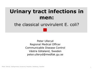 Urinary tract infections in men: the classical urovirulent E. coli?