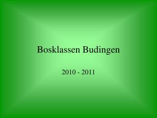bosklassen budingen