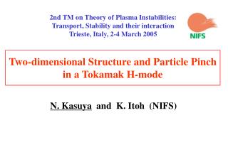 Two-dimensional Structure and Particle Pinch in a Tokamak H-mode