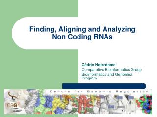 Finding, Aligning and Analyzing Non Coding RNAs