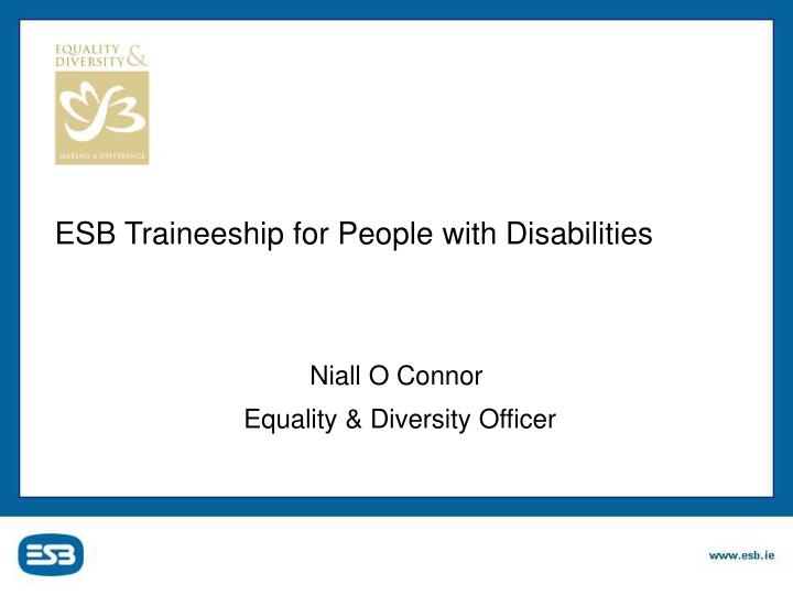 esb traineeship for people with disabilities