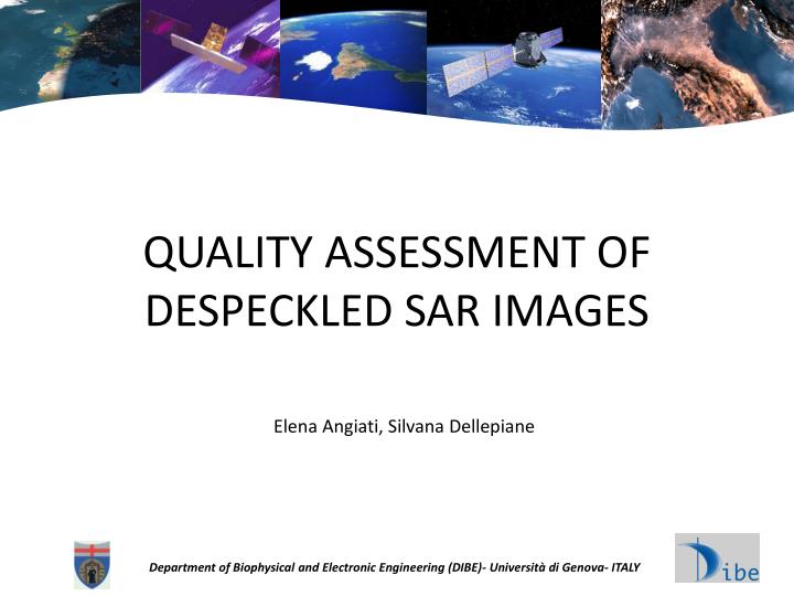 quality assessment of despeckled sar images