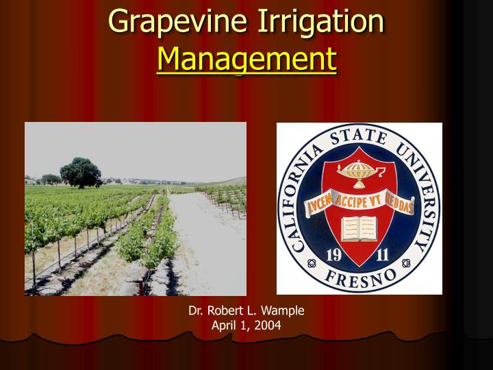 grapevine irrigation management