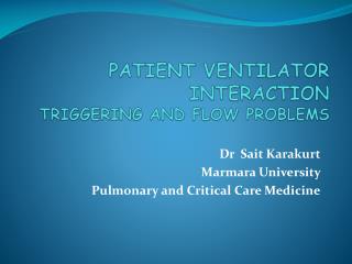 PATIENT VENTILATOR INTERACTION TRIGGERING AND FLOW PROBLEMS