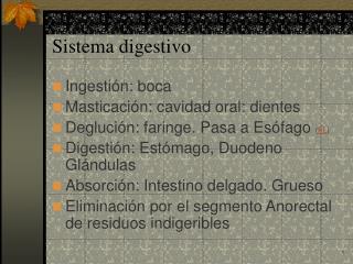 sistema digestivo