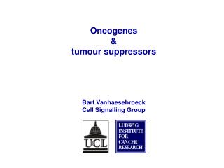 Oncogenes &amp; tumour suppressors Bart Vanhaesebroeck Cell Signalling Group