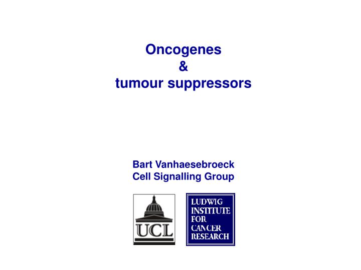 oncogenes tumour suppressors bart vanhaesebroeck cell signalling group