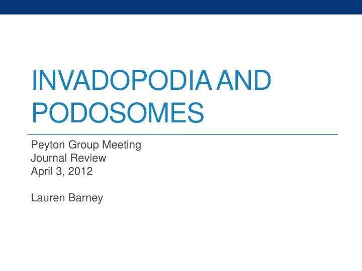 invadopodia and podosomes