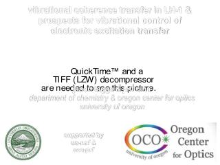 vibrational coherence transfer in LH-1 &amp; prospects for vibrational control of